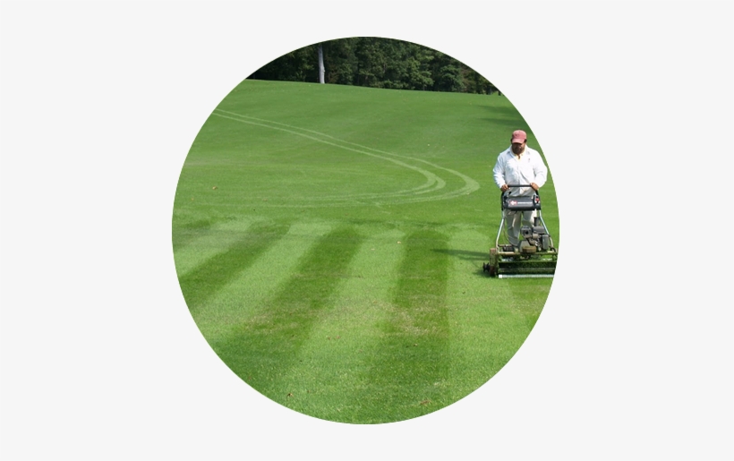 “i've Spent The Last 50 Years Trying To Kill Bermuda - Turf Construction Inc, transparent png download