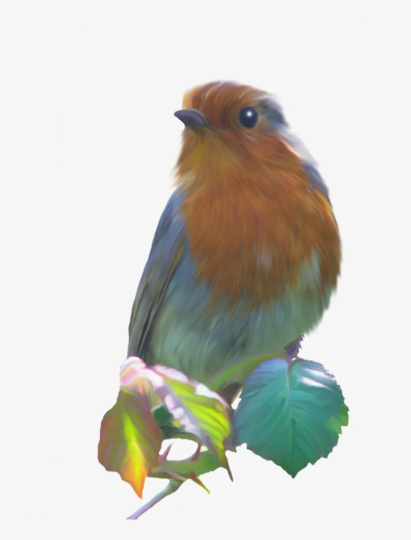 Smudge Painted Robin Png - European Robin, transparent png download