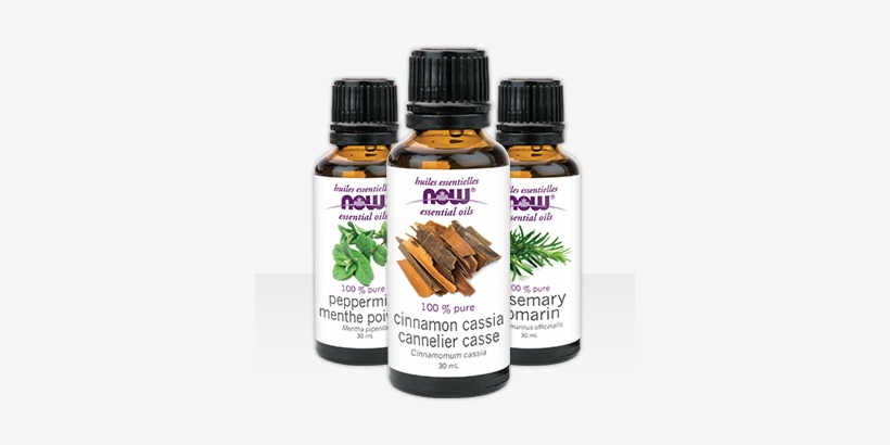 12a Now Essential Oils Bl - Now Essential Oils Cinnamon Cassia Oil, transparent png download