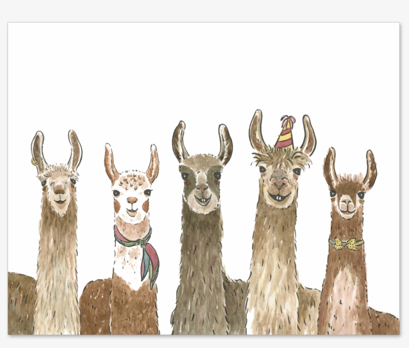 Party With These Llamas - We Herd It's Your Birthday, transparent png download