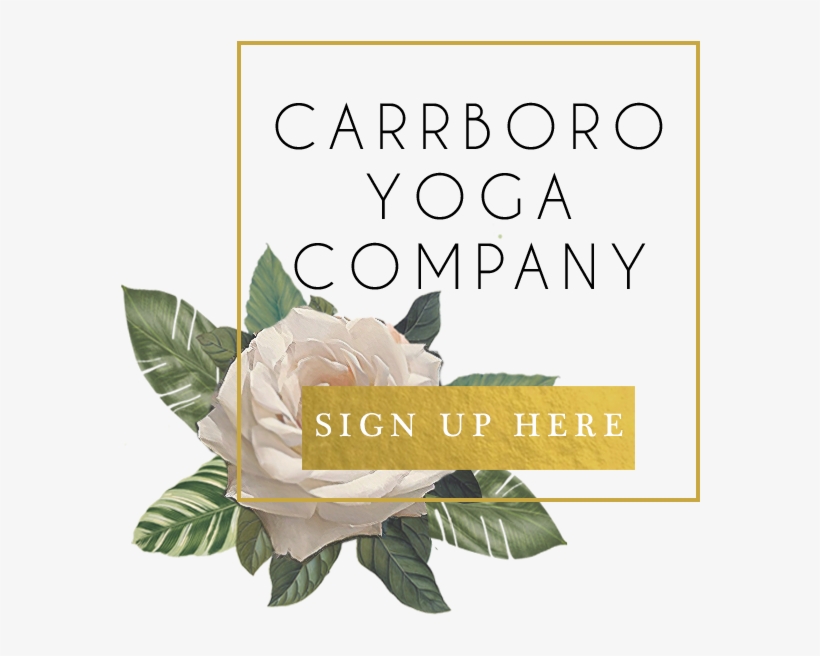 Carrboro Yoga White Flower Button - Carrboro Yoga Company, transparent png download