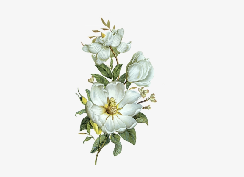 White Flower Right Tall, transparent png download