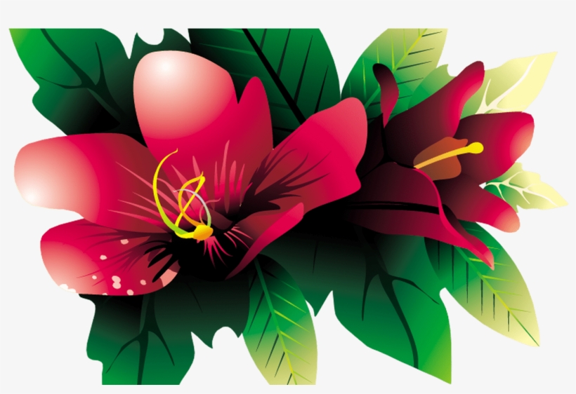 Images Of Tropical Flower Vines For Free Download On - Portable Network Graphics, transparent png download