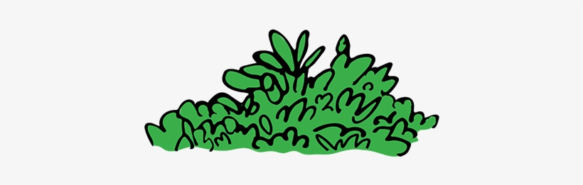 Groundcovers, transparent png download