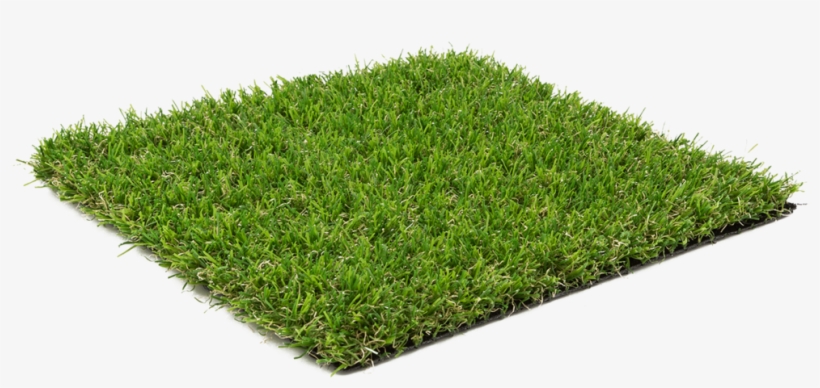 Evergreen - Artificial Grass 35mm, transparent png download