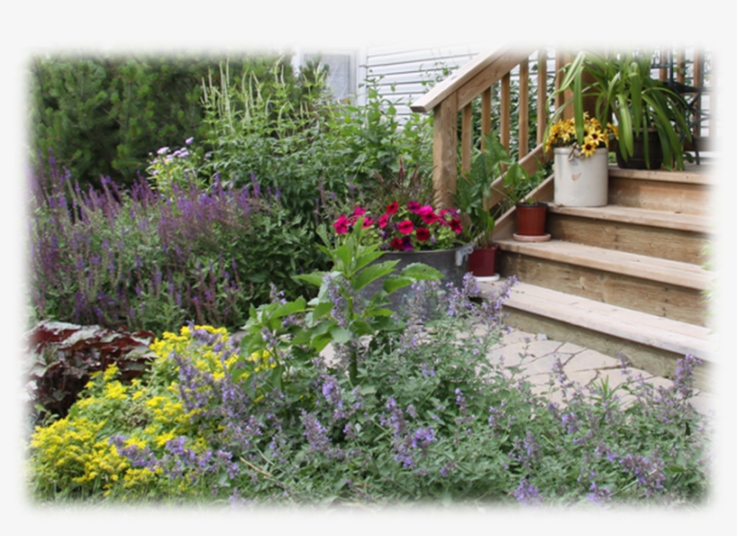 Contact Us - Garden, transparent png download