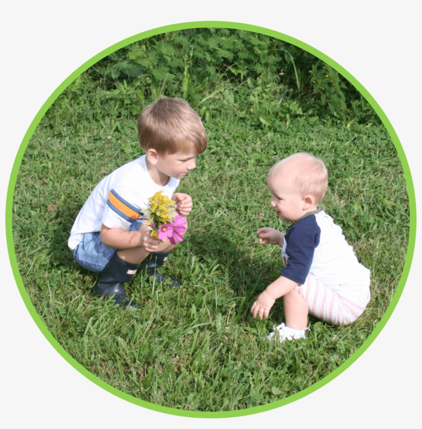 Leave - Certification, transparent png download