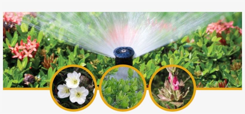Save On Landscaping - Sprinkler And Flowers, transparent png download