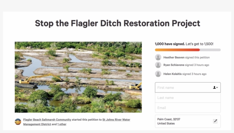 Palm - Palm Coast Observer, transparent png download