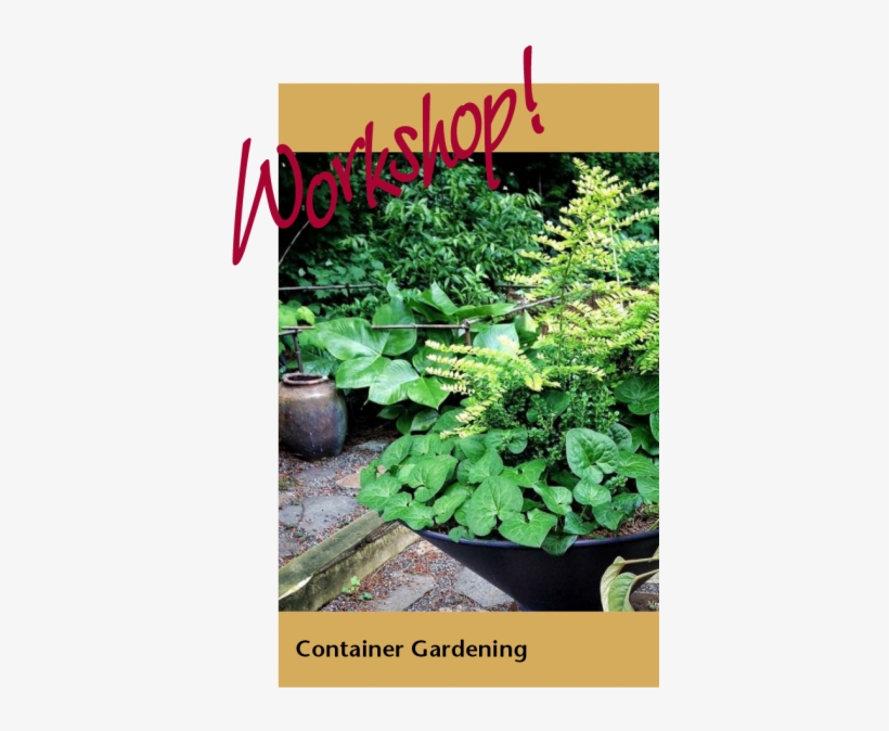 Container Gardening Art - Plantation, transparent png download