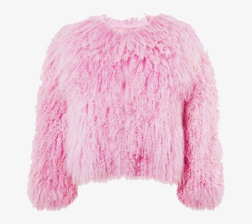 Image Of Hard Core - Fur, transparent png download