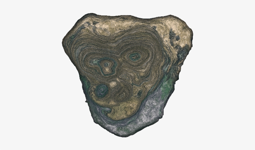 Sketch, transparent png download