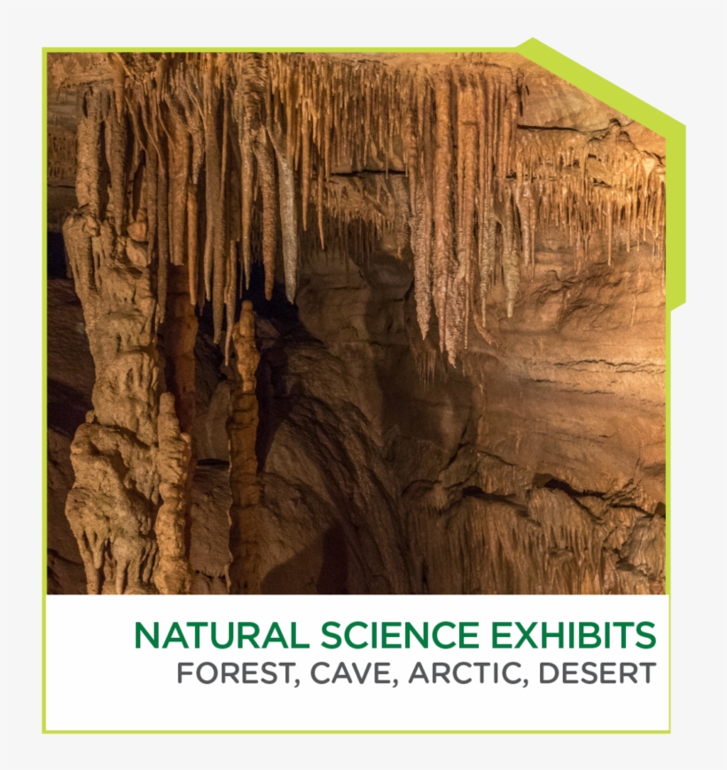 Get Updates - Soda Straw, transparent png download