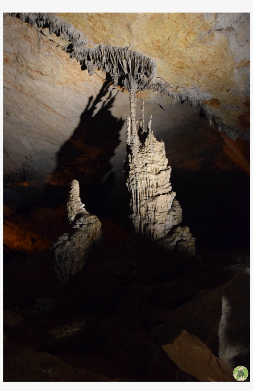 Prev - Soda Straw, transparent png download