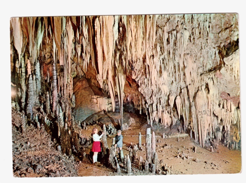 29 - - Soda Straw, transparent png download