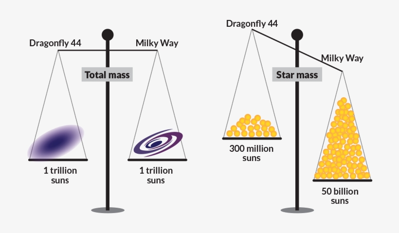 Dark Galaxy Dragonfly 44 Has A Mass Approaching 1 Trillion - Weight Training, transparent png download