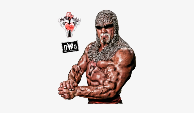 Scott Steiner 2 4 - Nwo Wolfpack, transparent png download
