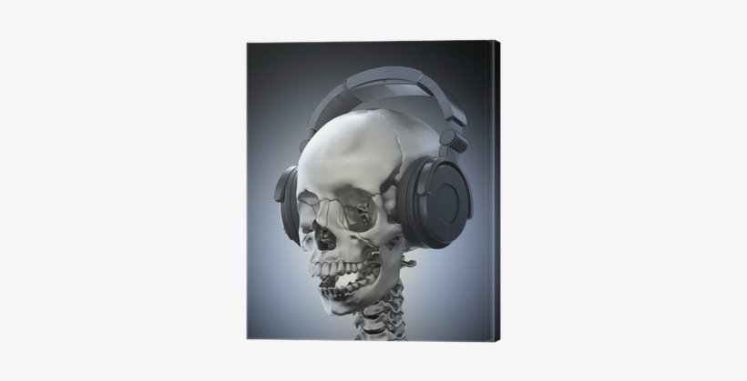Skull, transparent png download