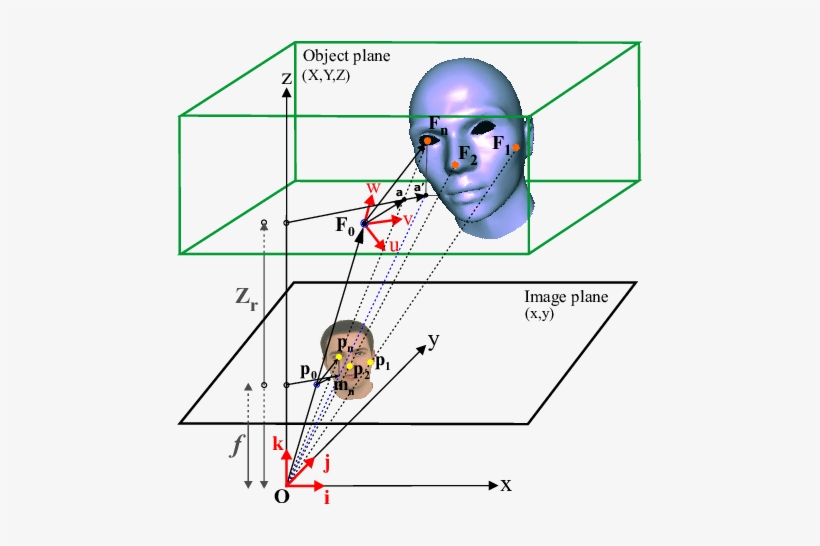 Projection Of A 3d Face Model M Into The Image Plane - Delaunay Triangulation, transparent png download