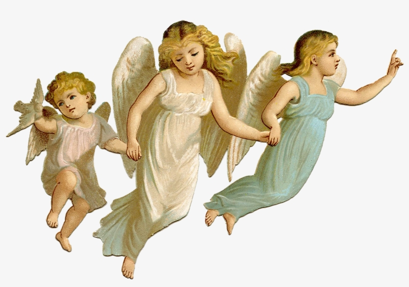 Angel Png, transparent png download
