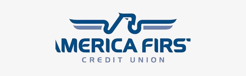 America First Credit - Mcnabb Hit On Kuznetsov, transparent png download