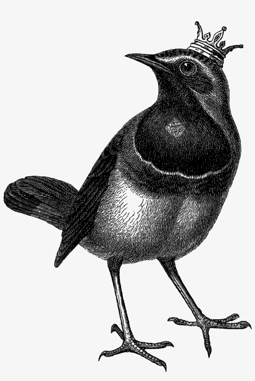 The Second Digital Bird Clipart Is Of The Bird Wearing - Skull, transparent png download