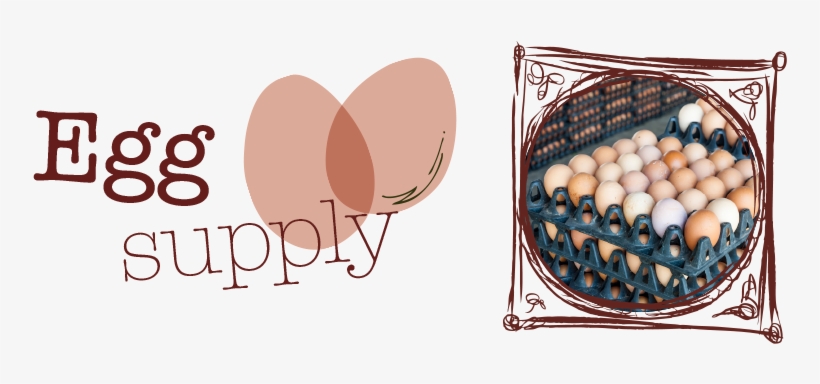 Eggs - Egg, transparent png download