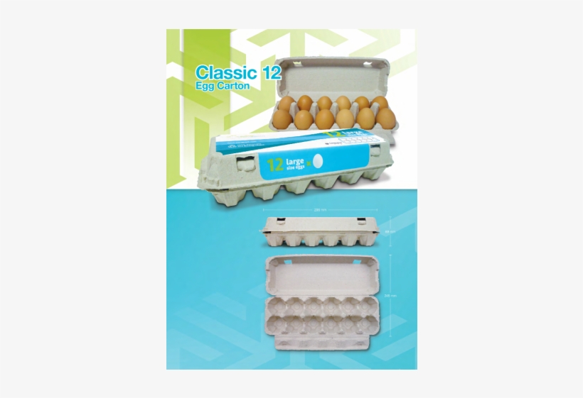 Egg Tray Carton - Pill, transparent png download
