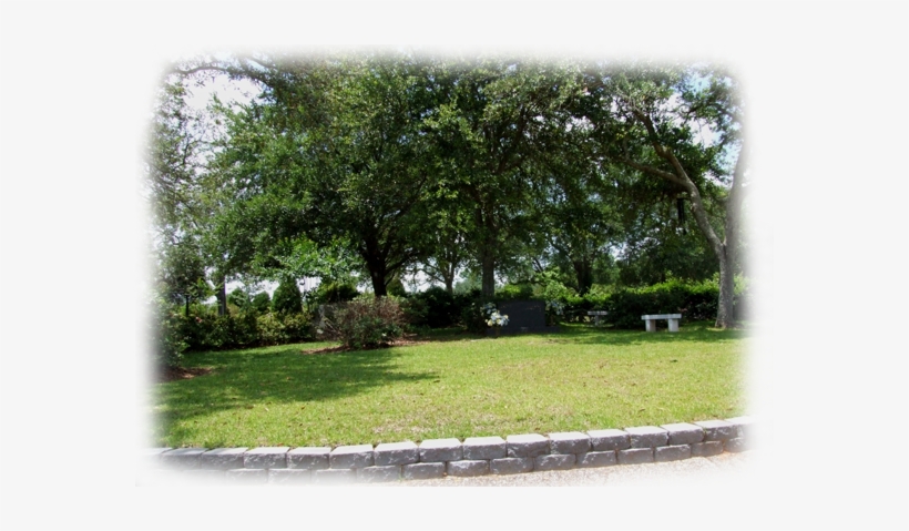 This Section Has Become A Highlight Of The Cemetery - Yard, transparent png download