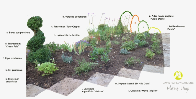 The Balance Between Annuals And Perennials Is Useful, - Yard, transparent png download