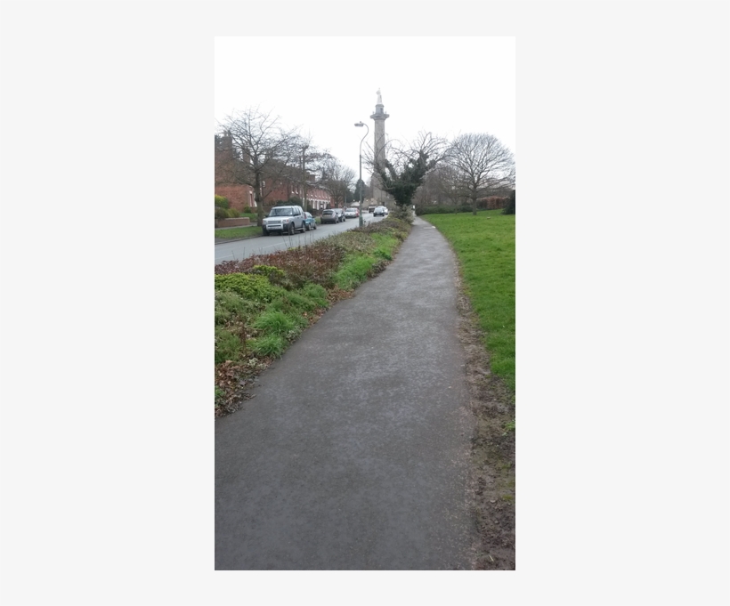 Preston Street Shrubbery - Street, transparent png download