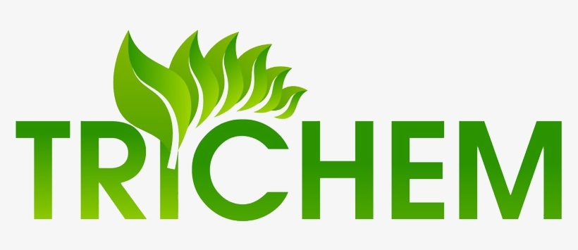 Follow - Mug, transparent png download