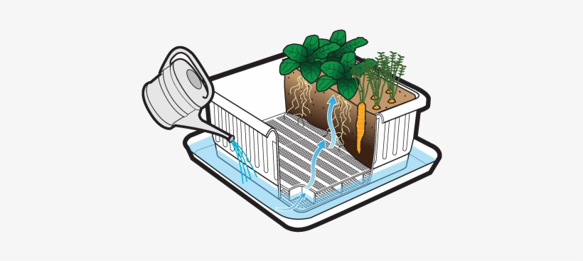 This Is A Healthy, Sustainable Way To Water Your Plants - Mid America Compost Co Ugeltb2 Metro Grower Elite,, transparent png download