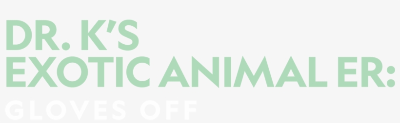 K's Exotic Animal Er - Marie Dunford, transparent png download