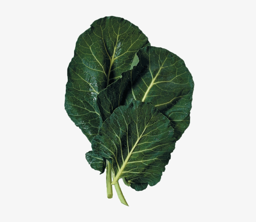 Collards - Collard Greens, transparent png download