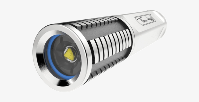 Sealantern Flame Angel - Flame Angelfish, transparent png download