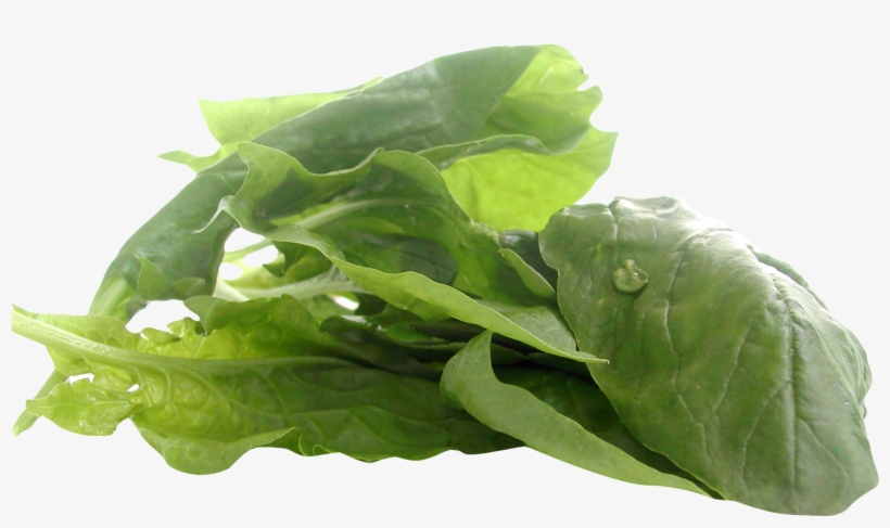 Spinach, transparent png download