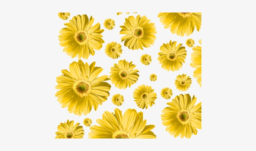 Yellow Daisy Fabric By Ophelia On Spoonflower - Gerbera Daisy Green Png, transparent png download