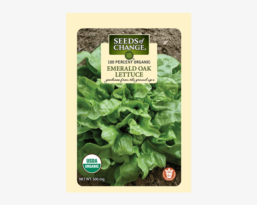 Organic Emerald Oak Lettuce Seeds - Seeds Of Change Organic Thai Green Lettuce Seeds, transparent png download