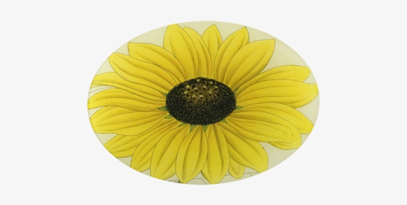Yellow Daisy Yellow Daisy - Sunflower, transparent png download