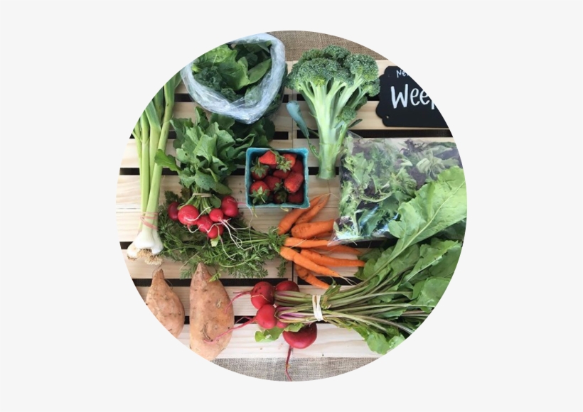 Why Join - New South Produce Cooperative, transparent png download