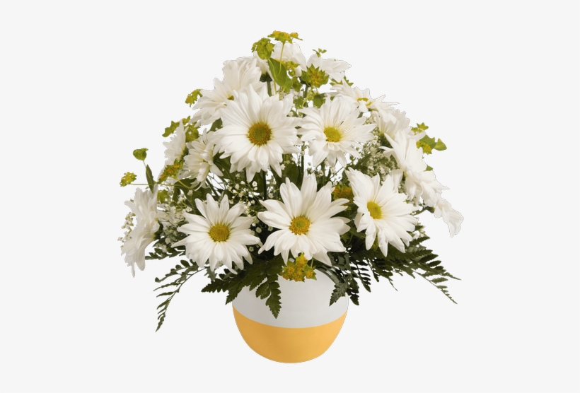 Daisy Bowl, Yellow - Bowl, transparent png download