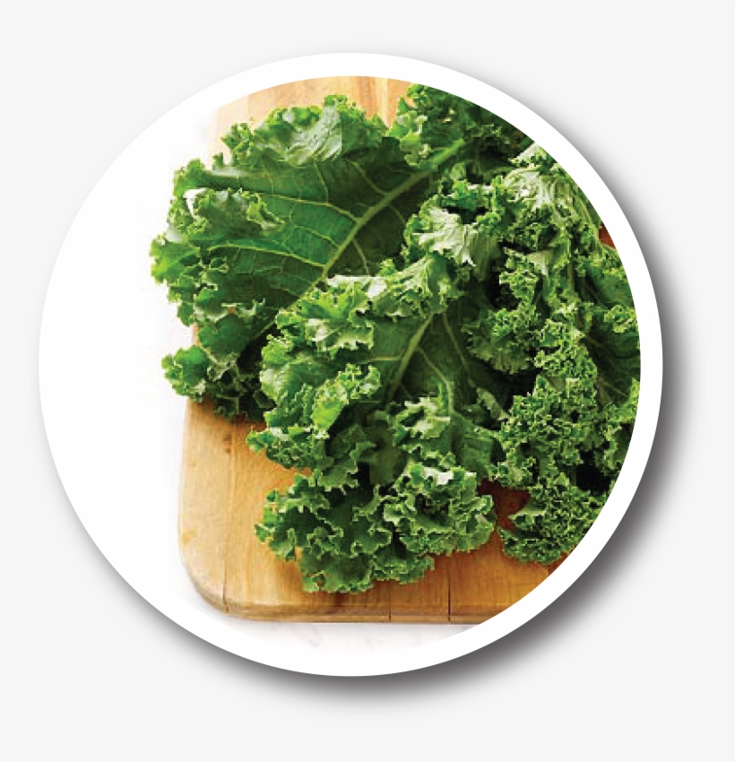 Performance Recipes - Health Benefits Of Kale, transparent png download