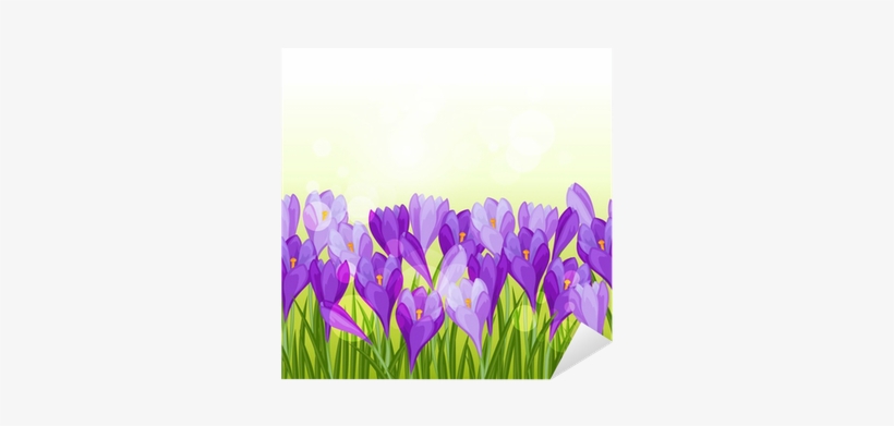 Spring Flowers Crocus Seamless Pattern Horizontal Border - Flower, transparent png download