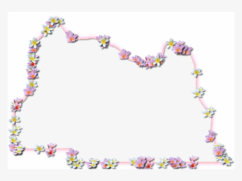 A Map Of Seminole With A Coral Color Glow Border And - Map, transparent png download