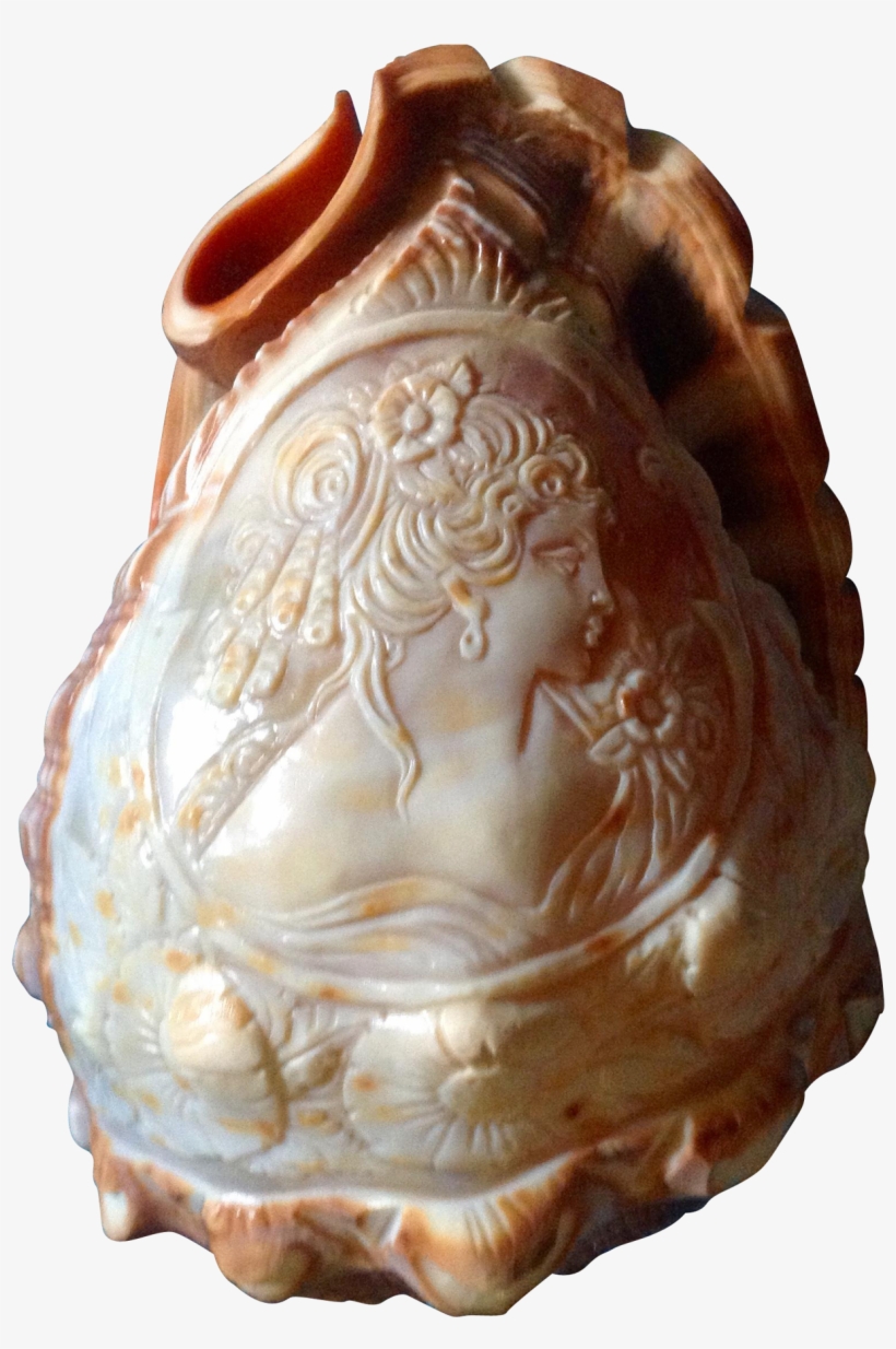 Conch Shell Cameo Vintage Victorian Woman Carved Cameo - Retro Conch Shell Lamp, transparent png download