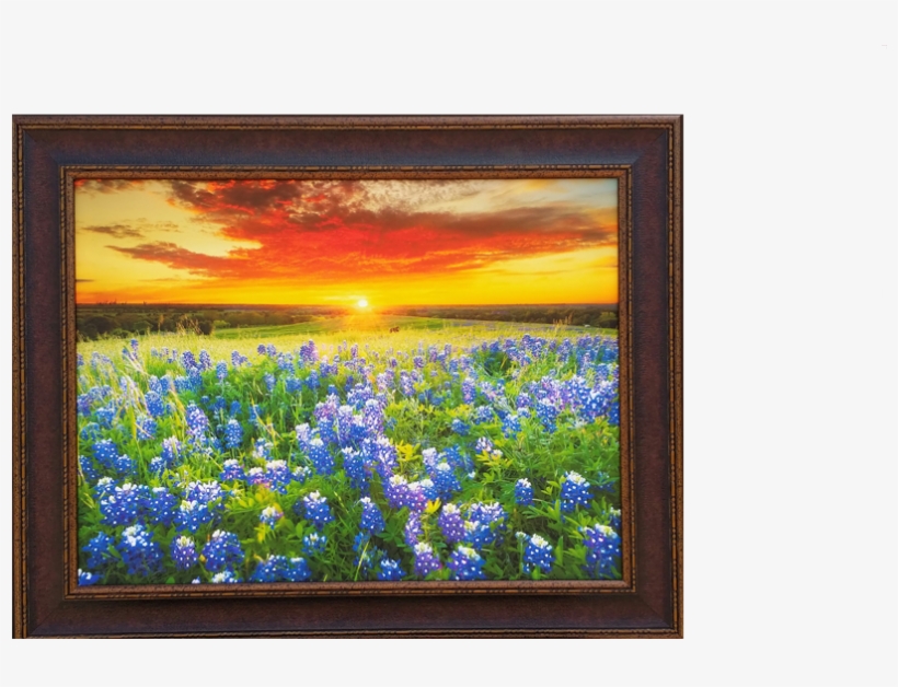 Sunny Days Of Blue Bonnets - Day Trips From Houston: Getaway Ideas, transparent png download