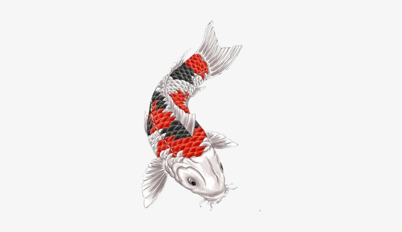Koi Tattoo, transparent png download