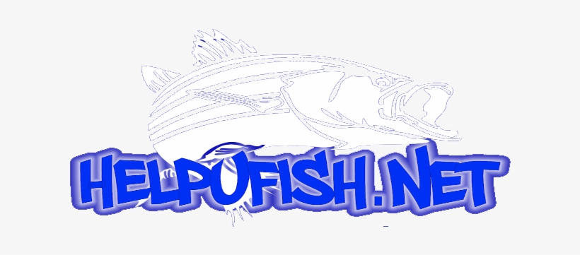 Captain Anthony's Help U Fish - Vallejo, transparent png download