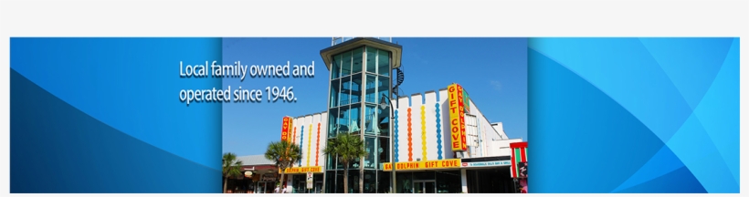 Gay Dolphin Gift Cove - Plyler Park, transparent png download